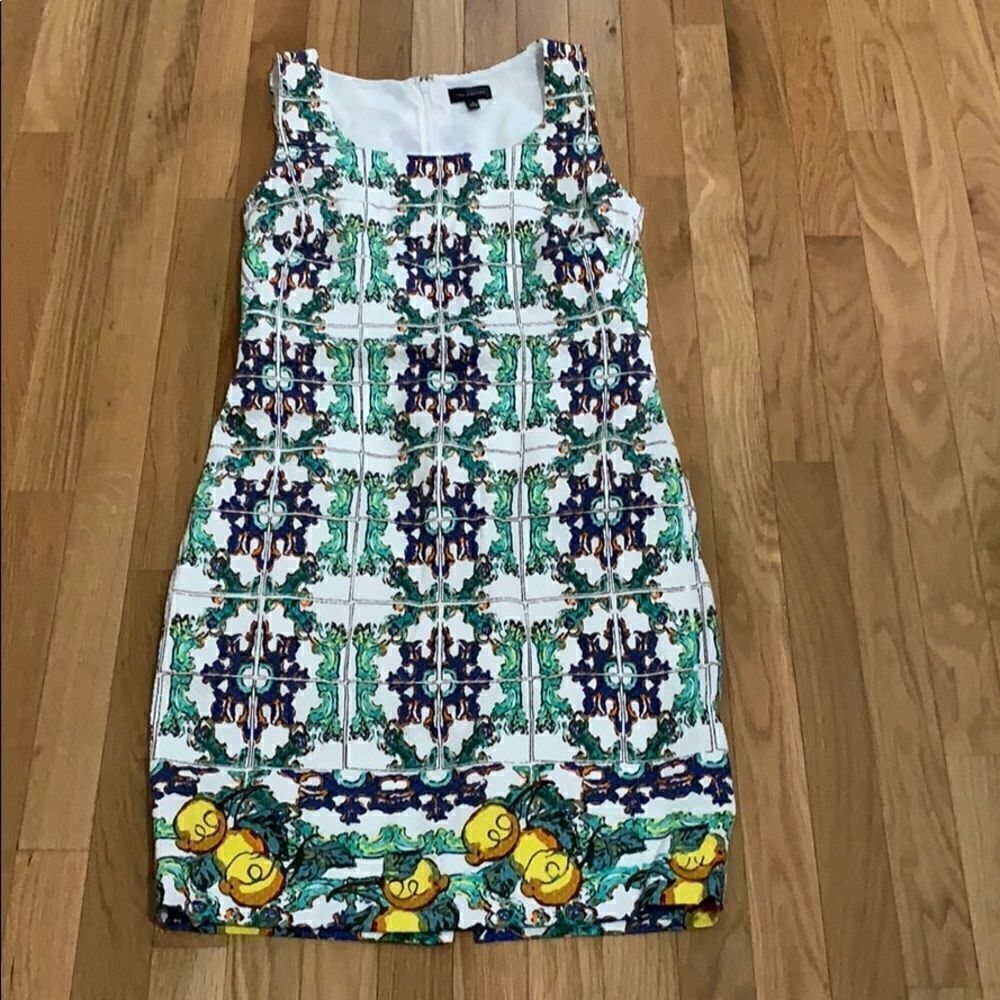 The limited dress size 6